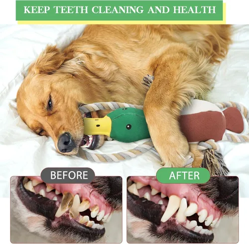 Vista 5 de Letsmeet Juguetes de Pato Actualizados para Perros para Masticadores Agresivos Juguetes para Cachorros con Papel Crujiente y Chirriador, Juguetes