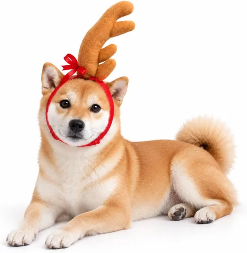 Vista 5 de ComfyCamper - Disfraz de reno con astas para perro de Halloween - Diadema cosplay de Navidad, talla pequeña, mediana, grande, extragrande para Marrón