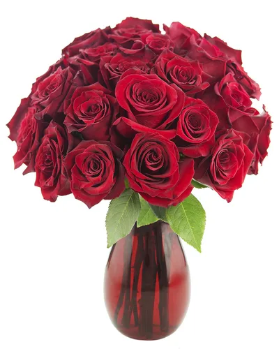 Vista 15 de KaBloom - Rosas arcoíris (media docena)- Flores frescas para cumpleaños, San Valentín y Día de la Madre