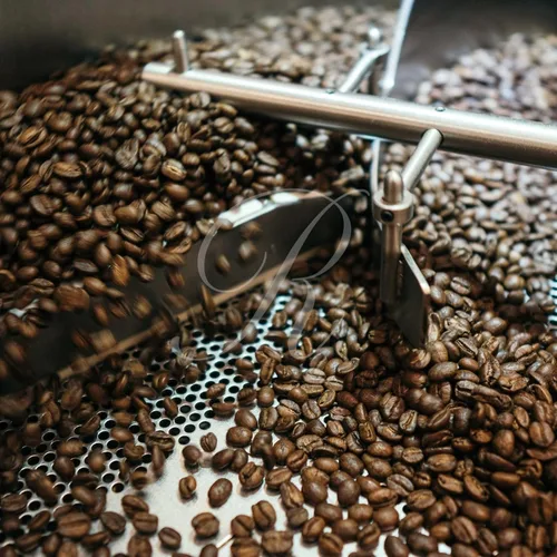 Vista 4 de Geisha Panameña - Hacienda La Esmeralda - 1 lb (16 oz/454 g) - Asado a pedido