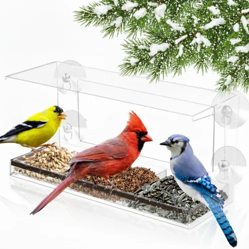 Vista 9 de Comedero para pájaros de ventana con ventosas fuertes, casa transparente
