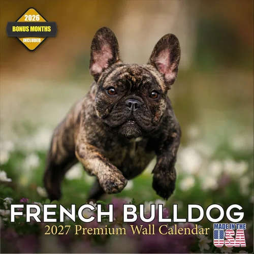 Vista 53 de Calendario de Lebrel Afgano 2025 2026, calendario mensual de pared de raza canina, 12" x 18" abierto, papel grueso sin traspaso, ideal para regalo