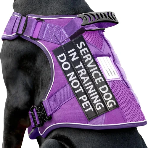 Vista 27 de Chaleco de perro de servicio para perros medianos, arnés de perro de servicio en entrenamiento con parches, chaleco ajustable para perros