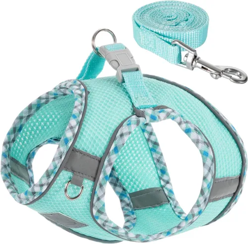 Vista 11 de Juego de arnés y correa para perro, arnés sin tirones para perros pequeños, fácil caminar, suave y transpirable, arnés para perros pequeños, arnés