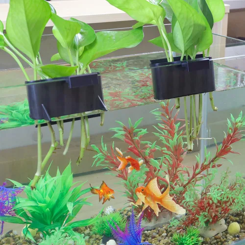 Vista 4 de Soporte para plantas de acuario,Sostenedor de plantas de tanque de peces de plástico,Taza colgante de plantador de acuario para plantas vivas