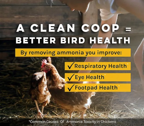 Vista 2 de Microbe-Lift Limpiador y desodorizante para gallinero – 32 onzas – Limpiador y desodorizante natural para desechos de pollo, cama y superficies