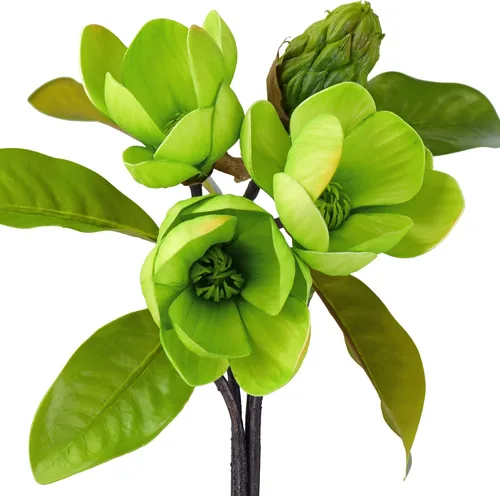 Vista 10 de FiveSeasonStuff Arreglo de flores artificiales de magnolia rosa polvoriento, con 4 tallos, ramo de damas de honor de boda, despedidas de soltera