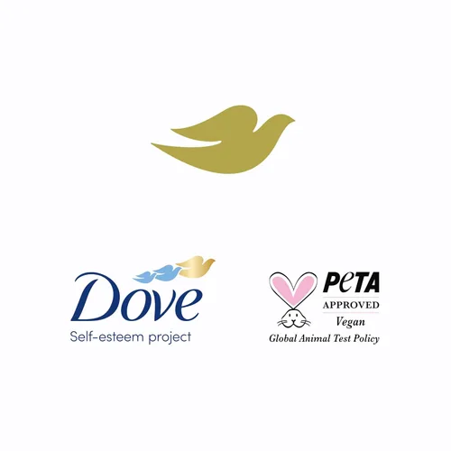 Vista 14 de Dove Champú Nutritive Solutions Daily Moisture hidratante para cabello seco, 12 onzas líquidas (4 unidades)