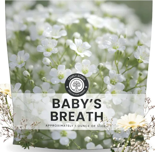 Vista 9 de Baby's Breath - 4,000 semillas para plantar - Temporada 2026 - Bolsa de 0.18 oz