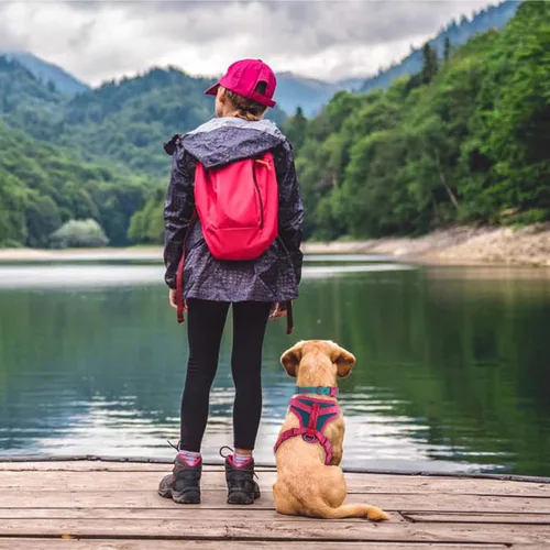 Vista 7 de Wolfone Arnés sin tirones para perro, ajustable, suave, acolchado, chaleco para mascotas, con asa de control, adorable arnés diario para perros