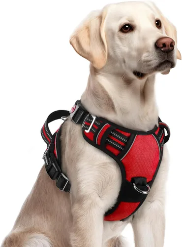 Vista 58 de Rabbitgoo - Arnés para perro de tamaño pequeño, sin tirones, 3 hebillas, fácil de poner y quitar Negro