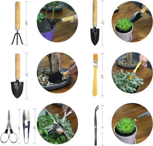 Vista 5 de Mini juego de herramientas de jardinería, kit de suculentas, juego de herramientas para suculentas, Bonsai, jardinería, incluye podadora, tijeras
