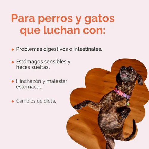 Vista 3 de Diggin’ Your Dog, Suplemento original de calabaza Firm Up para perros y gatos, 1 onza