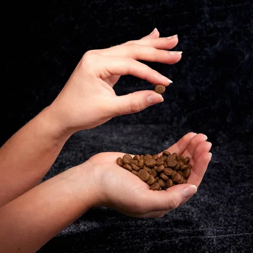 Vista 9 de Crave Comida con proteína para perros, libre de granos, adulto