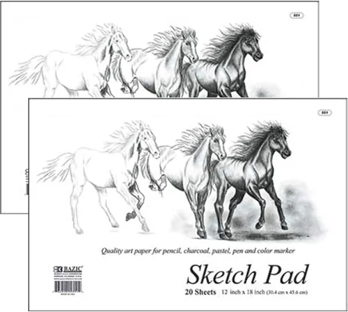 Vista 7 de BAZIC Products Bloc de bocetos, 18 x 12 in, 20 hojas Bloc de dibujo de 20 hojas, papel de dibujo suave para dibujar y sombrear