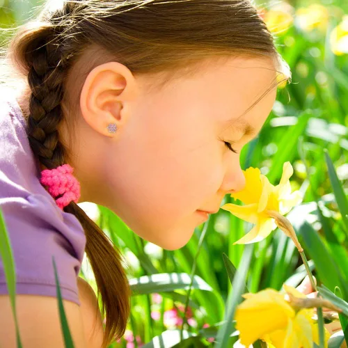 Vista 3 de Aretes de seguridad chapados en rodio con circonita cúbica, para niños pequeños y niñas jóvenes, de 0.197in, delicados y brillantes aretes florales