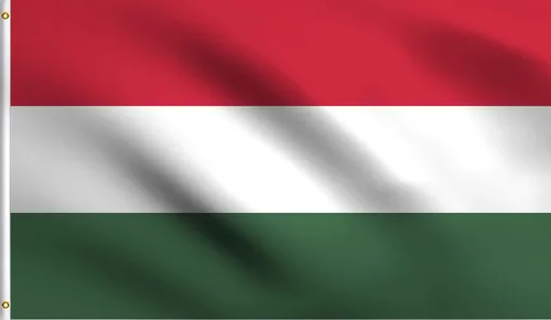 Vista 105 de DMSE - Bandera nacional beninesa beninesa de la República de África Occidental, 2 x 3 pies, 100 % poliéster, 100 % poliéster, resistente a los rayos
