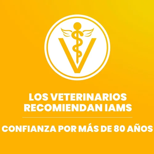 Vista 6 de IAMS Proactive Health - Alimento seco para cachorros de raza grande, pollo, 15 libras Real chicken #1 ingredient, Omega-3 DHA for cognitive &