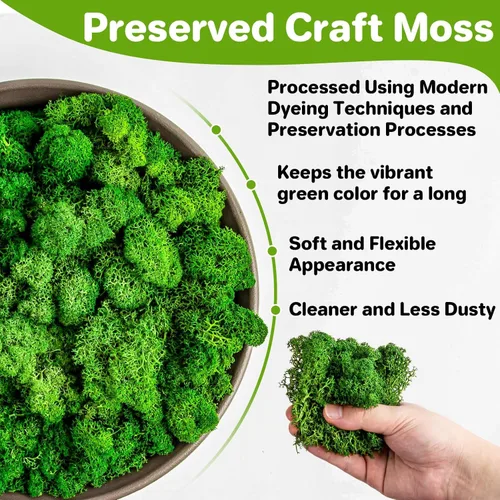 Vista 2 de Sukh Musgo preservado – Musgo de 3.5 onzas para manualidades, musgo sintético de musgo verde natural, arte para pared, terrarios de musgo floral