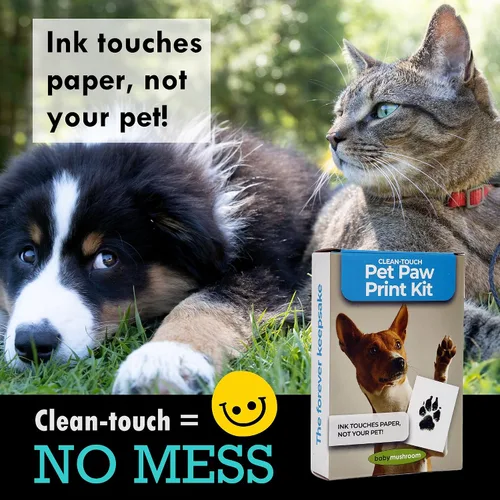 Vista 6 de Baby Mushroom Kit de impresión de tinta para mascotas Regalo personalizado para los amantes de las mascotas Recuerdo conmemorativo de perros