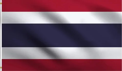 Vista 188 de DMSE - Bandera nacional beninesa beninesa de la República de África Occidental, 2 x 3 pies, 100 % poliéster, 100 % poliéster, resistente a los rayos