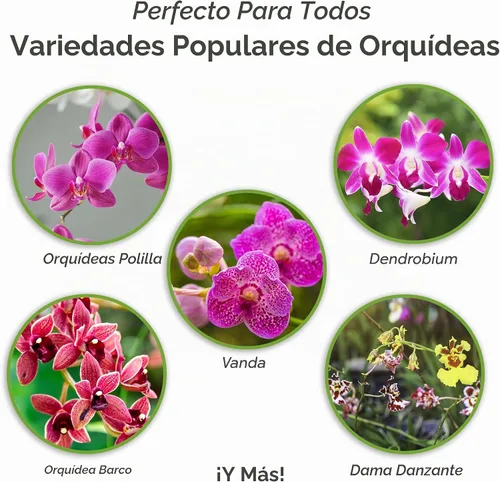 Vista 2 de Perfect Plants - Mezcla natural para macetas de orquídeas, 4 cuartos de galón, mezclada a mano en pequeños lotes, ideal para Phalaenopsis de todo