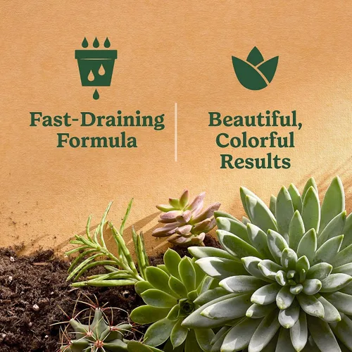 Vista 7 de Miracle-Gro Mezcla para macetas de interior para cactus y suculentas, mezcla para macetas de cactus y suculentas de drenaje rápido con alimentos