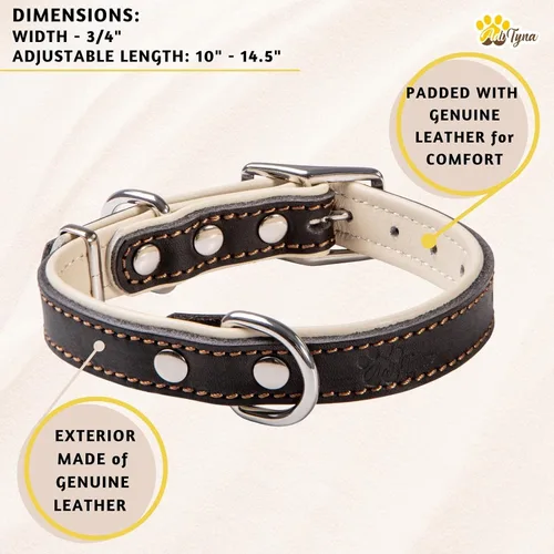 Vista 5 de ADITYNA Collar de perro de cuero negro resistente para perros pequeños, acolchado suave para mayor comodidad, collar de perro pequeño para caminar
