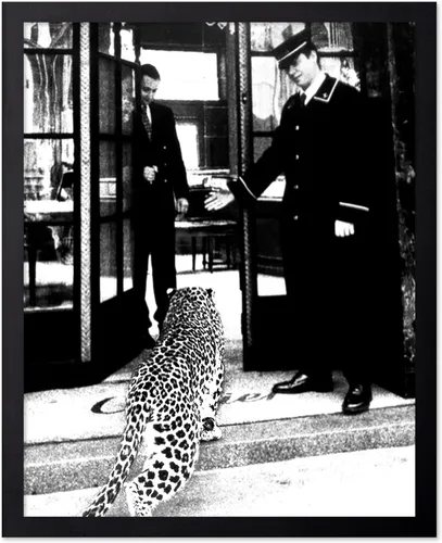 Vista 69 de Poster Master Póster de leopardo – Pantera en impresión de boutique de moda – Arte de fotografía – Arte animal – Arte en blanco y negro – Arte