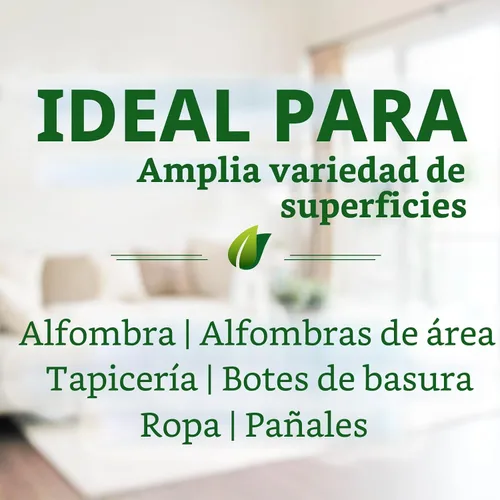 Vista 4 de Biokleen Bac-Out - Spray limpiador de alfombras, removedor de manchas y eliminador de olores, uso en alfombras de área, tapicería y más, elimina