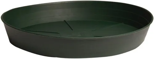 Vista 3 de Hydrofarm HGS6P - Cesta verde de primera calidad