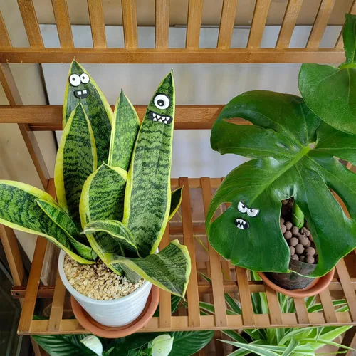 Vista 2 de HOMDSG Imanes de Plantas Monstruo con Ojos para Plantas en Maceta, Imanes Graciosos y Seguros para Plantas, Accesorios para Plantas de Casa, Regalos