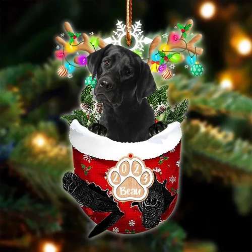Vista 99 de NAZENTI Adorno Navideño de Bolsillo Personalizado de Affenpinscher en la Nieve, Adorno de Forma Acrílica de Perro, Adorno de Navidad 2023, Adorno