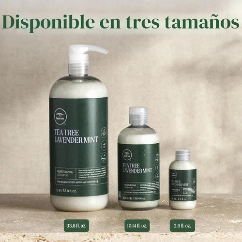 Vista 11 de Champú hidratante de lavanda y menta Tea Tree, hidrata + calma, para cabello grueso y seco
