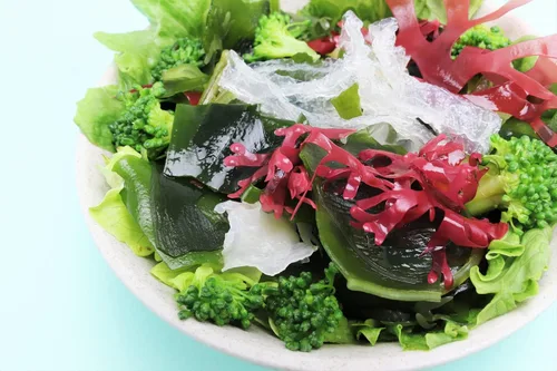 Vista 9 de Ensalada de algas secas Wakame 1.76 oz (50 g) Ideal para sopa de miso