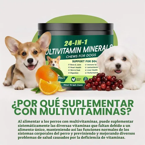 Vista 3 de Vitaminas y suplementos 24 en 1 para perros, multivitamínico masticable con condroitina, probióticos Omega-3, glucosamina para perros, pelaje