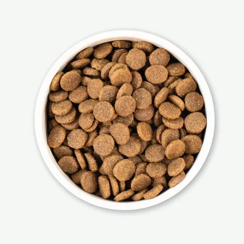 Vista 5 de Earthborn Holistic Great Plains Feast with Bisonte - Alimento seco natural para perros sin granos, 25 libras