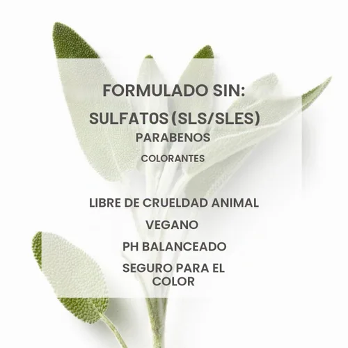Vista 5 de SEVEN Satara Relax Serum, 3.2 fl. oz.