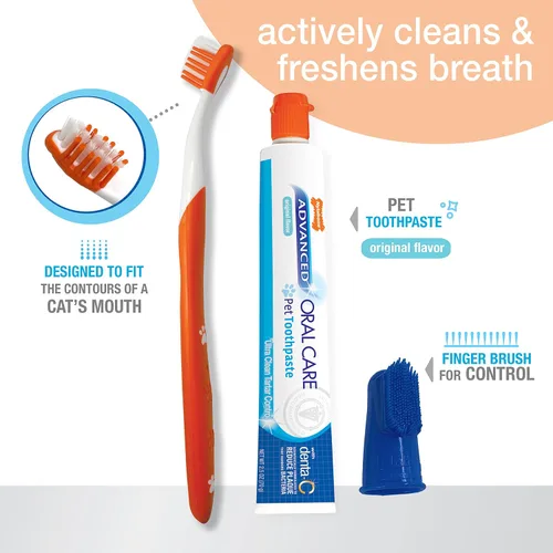 Vista 2 de Set dental del cuidado oral avanzado de Nylabone, Estándar, Adulto, Blanco, azul