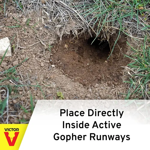 Vista 9 de Victor 0626 Black Box Gopher Trap - Trampas para Gopher - Trampa para Gopher