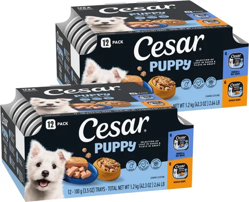 Vista 9 de Cesar Puppy Filets in Salsa Alimento húmedo para perros, pollo, 3.5 onzas
