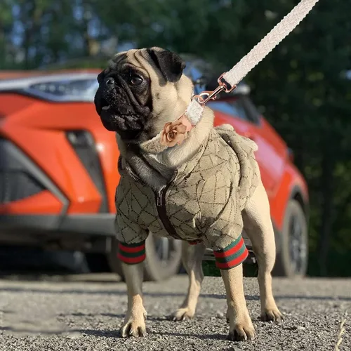 Vista 4 de Sudadera con capucha para perro Ropa de lujo para perros Chaqueta de invierno para cachorros Abrigo clásico de diseñador para mascotas Francés