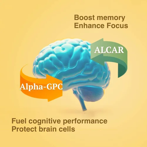 Vista 2 de Suplemento cerebral para memoria y enfoque, nootrópico para adultos, energía cerebral y claridad mental, sin cafeína, apoyo cognitivo, formulado por