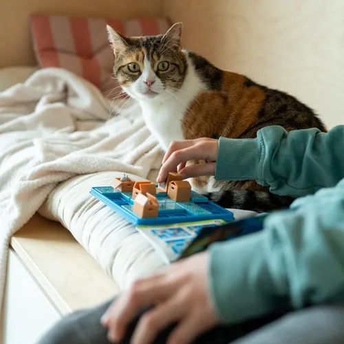 Vista 6 de SmartGames Cats & Boxes - Juego de rompecabezas lógico con 60 desafíos para mayores de 7 años