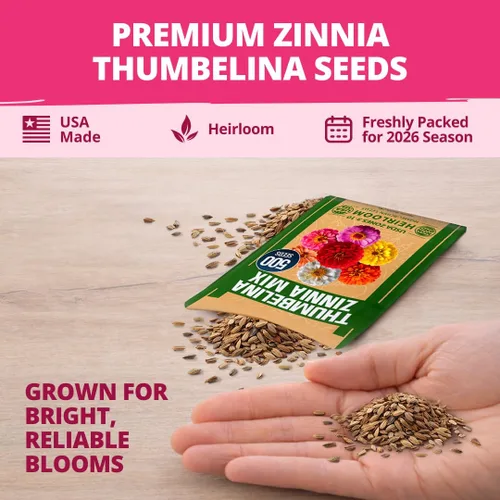 Vista 151 de HOME GROWN Semillas de Hollyhock de doble mezcla de Chater, 200 semillas