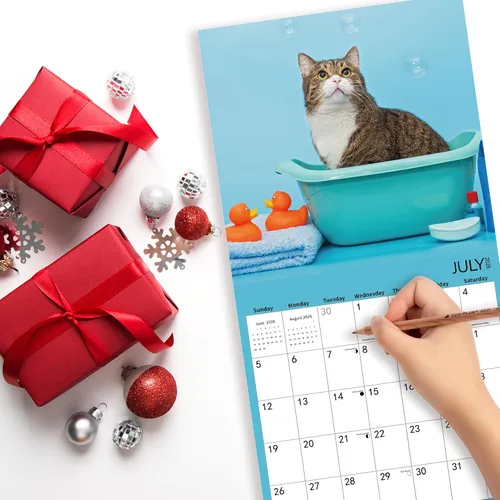 Vista 3 de Calendario de pared 2026, calendario de gatos 2026, calendario mensual de pared de baño de gatos, 12 x 24 pulgadas abierto, planificador familiar
