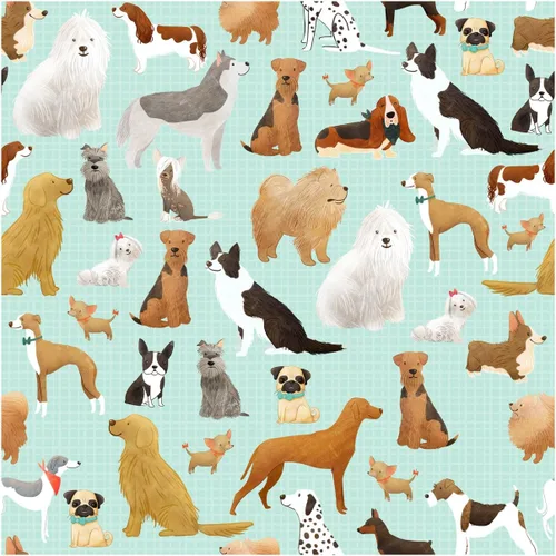 Vista 12 de Jillson Roberts - 24 hojas de papel tissú con estampado de primera calidad