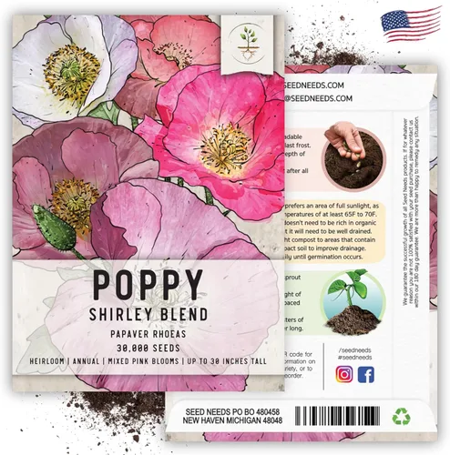Vista 5 de Seed Needs, Shirley Poppy Blend - 30,000 semillas tradicionales para plantar papaver rhoeas (paquete de 1)