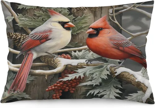 Vista 18 de Fundas de cojín decorativas para cama, diseño de pueblo de invierno, escena de invierno, con una casa victoriana en un entorno nevado, fundas