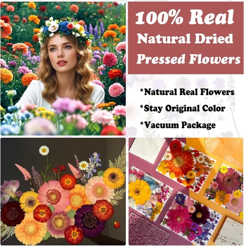 Vista 2 de 90 piezas de flores secas prensadas grandes para moldes de resina, flores naturales reales surtidas, pétalos de hojas para manualidades, joyas